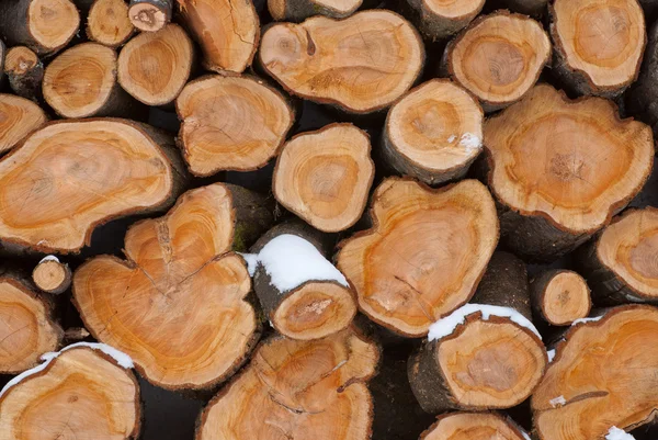 Tűzifa-rönköket — Stock Fotó