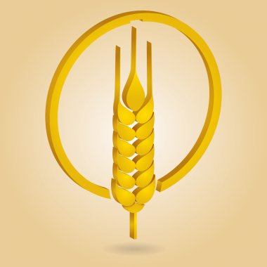 tahıl kulaklar