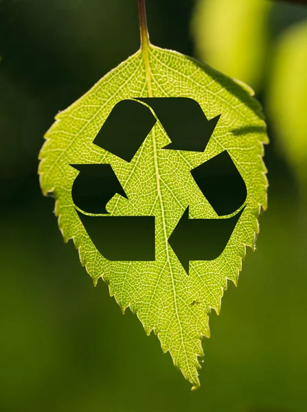 Recycling pictogram en blad — Stockfoto