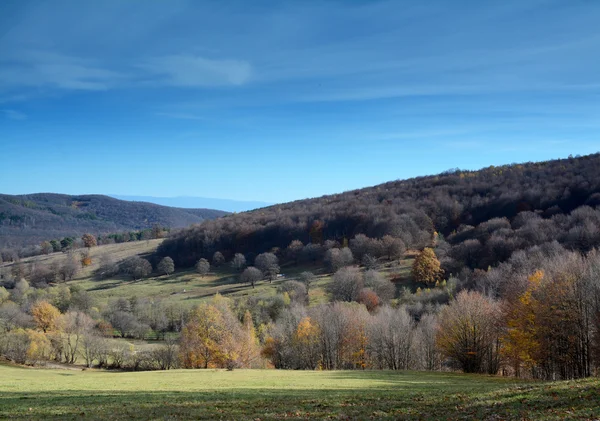 Paisaje otoñal con cielo azul —  Fotos de Stock