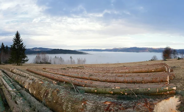 Deforestation in Romania mountains — Stock Photo, Image