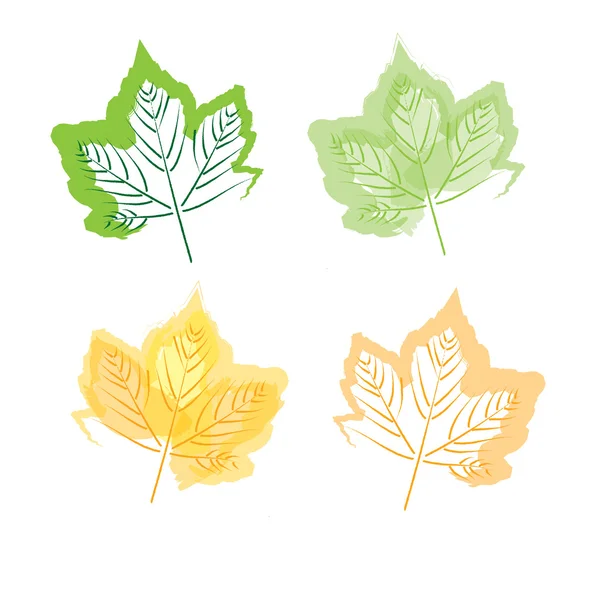 Hand drawing leaf set — Stock Vector