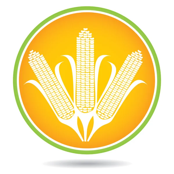 Кукурудза, кукурудзи ілюстрація — стоковий вектор
