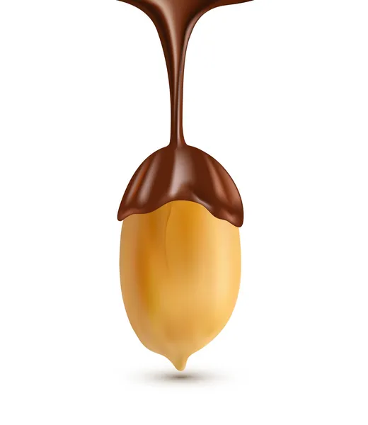 Векторный, изолированный арахис с расплавленным шоколадом — стоковый вектор