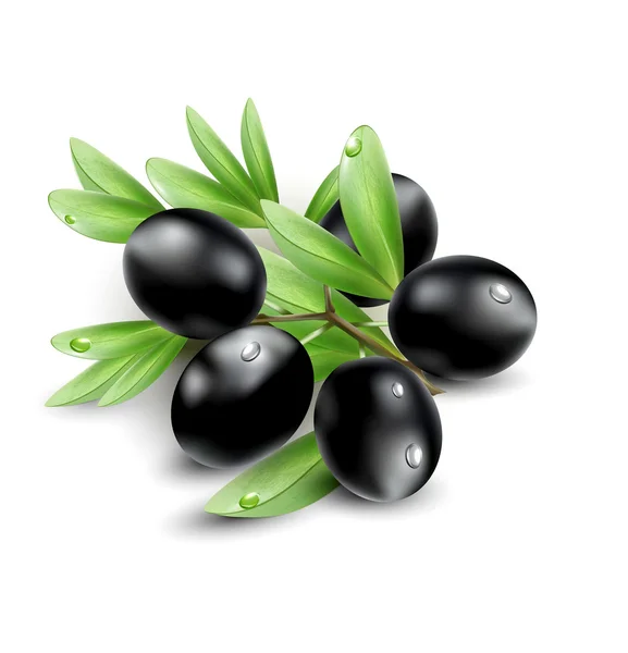 Vektor schwarze Oliven isoliert auf weißem Hintergrund — Stockvektor