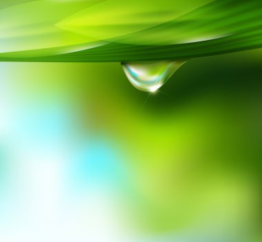 Vector drop of dew on a background of sky and greenery clipart