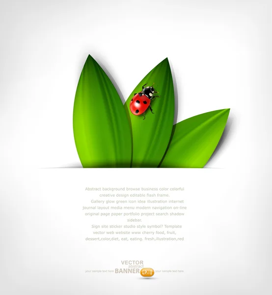 Vector grey background with leafs and ladybird — Stock Vector