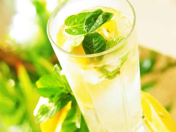 Ein Glas Wasser mit Zitrone und Minze — Stockfoto