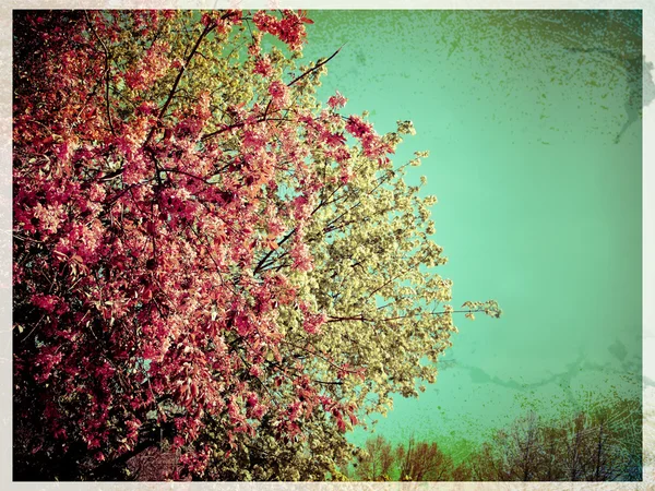 Tavaszi virágok retro stílusban. kártya — Stock Fotó