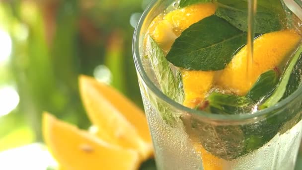 Un vaso con limón, menta y cubitos de hielo — Vídeos de Stock
