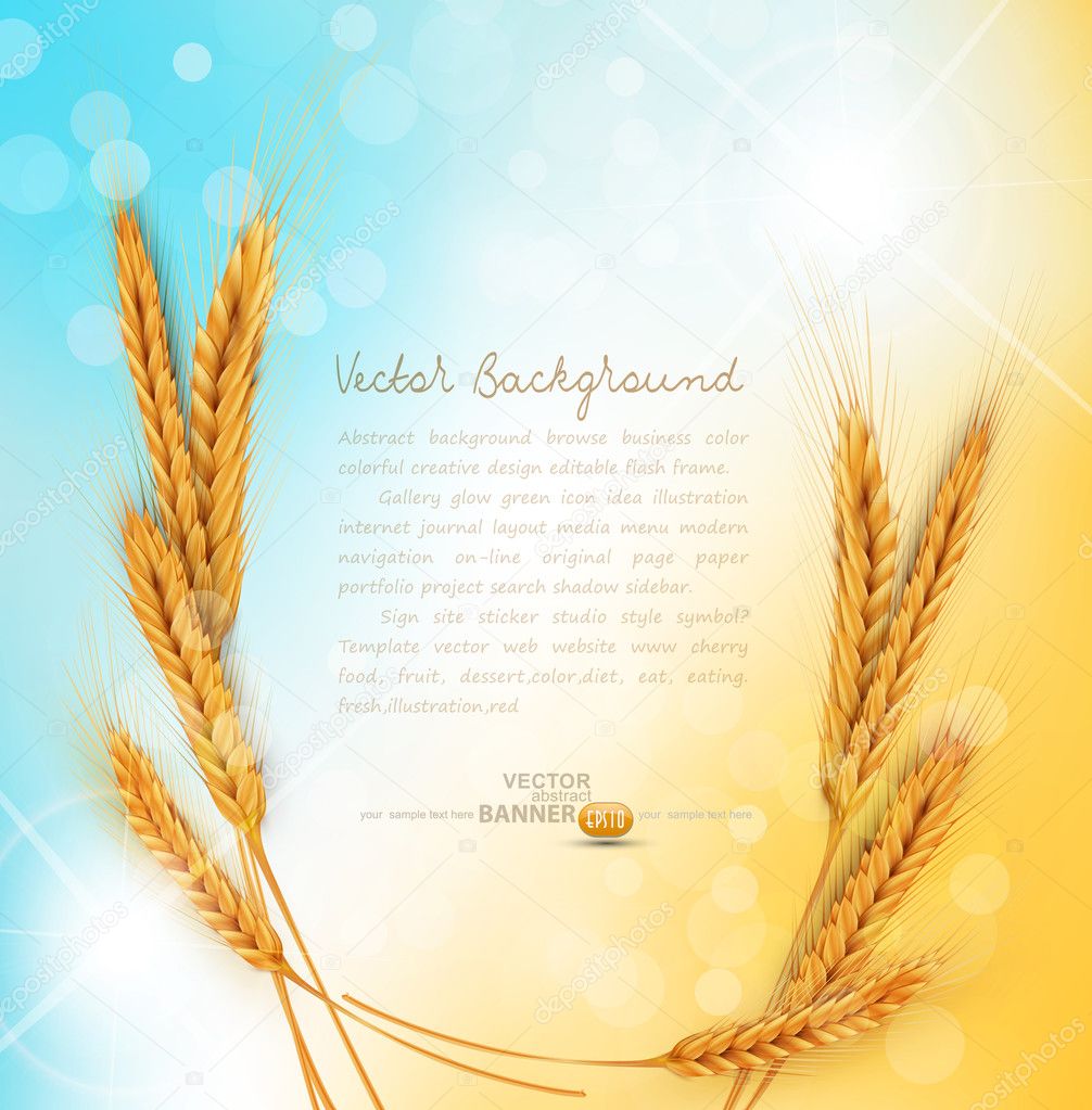 Vector background with gold ears of wheat and sun rays