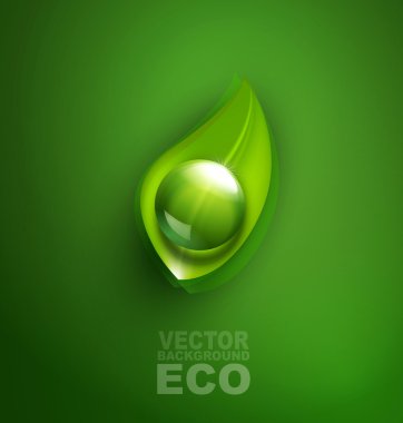 yaprak ve bir damla ile ekolojik tasarım için Vector öğesi