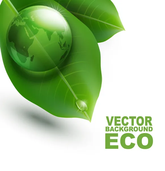 Elemento ambiental —  Vetores de Stock