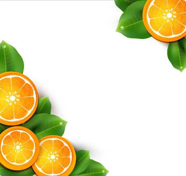 Pomarańcze na białym tle — Wektor stockowy