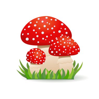 Yenilmez mantarlar agarik uçar. Mantar ailesi. Vektör illüstrasyonu