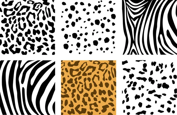 Zestaw tekstur skóry zwierzęcej. Dalmacja, lampart i zebra wzór wydruku tekstury kwadratowe. Ilustracje Stockowe bez tantiem