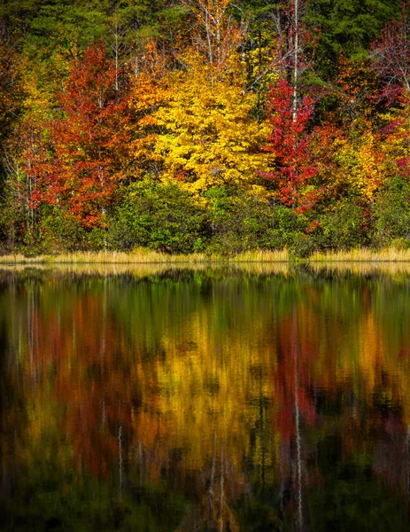 Crowders Mountain State Park - North Carolina — Stock Photo, Image