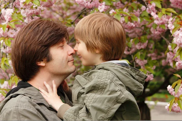 Otec a syn se bavit nad kvetoucí japonská třešeň — Stock fotografie