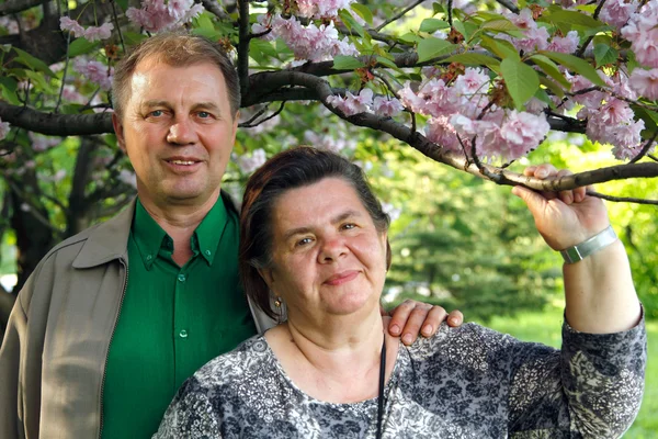 Ouder paar gelukkig knuffel in lentetuin — Stockfoto