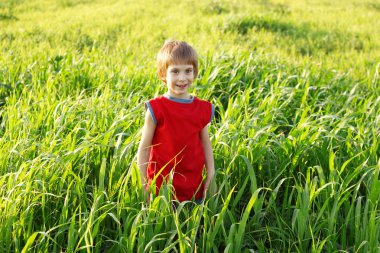Yeşil buğday alanında mutlu çocuk