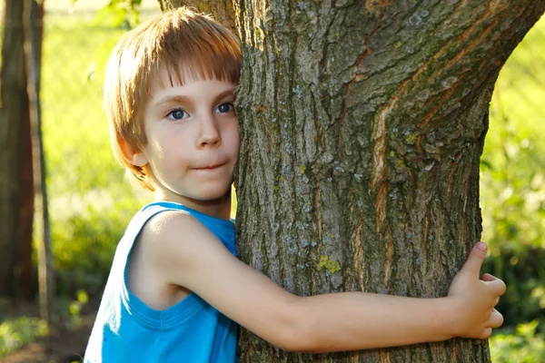 Ragazzo toccare albero nella foresta - cura dei bambini ecologia — Foto Stock