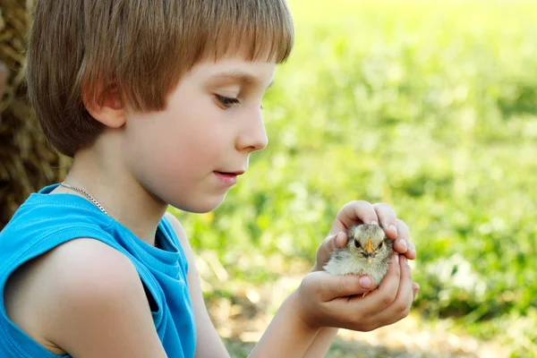 Boy cute hugs chiken in hand nature summer outdoor — Stock Photo, Image