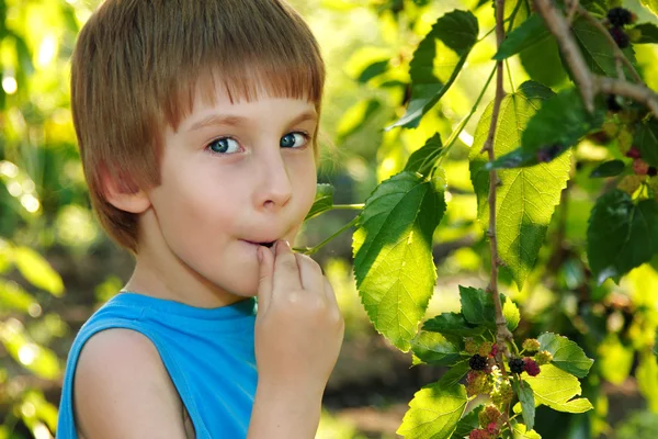 Lilla pojken äta mulberry — Stockfoto