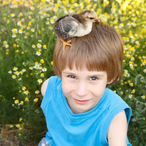 Boy cute with chiken on his head nature summerr — Stock Photo, Image