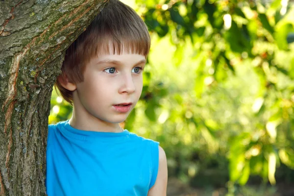 Boy touch bosque árbol naturaleza al aire libre —  Fotos de Stock