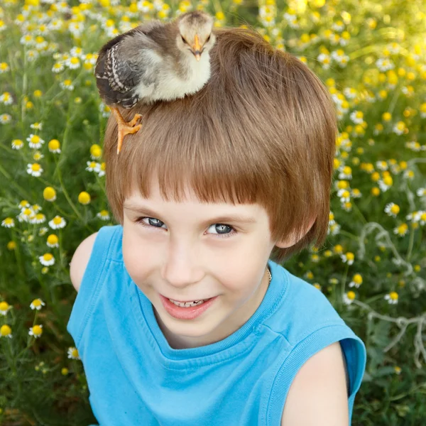 Jongen leuk met kip op zijn hoofd — Stockfoto