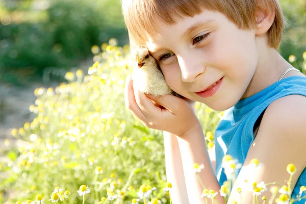 Roztomilý chlapec obejme kuřecí masíčka v rukou přírody léto — Stockfoto