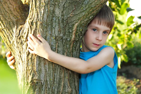 Boy touch tree in forest - child care ecology Stock Photo