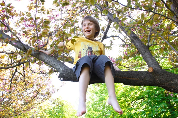 Zabawy szczęśliwy chłopiec siedzący na gałęzi kwitnący wiśniowe drzewo — Zdjęcie stockowe