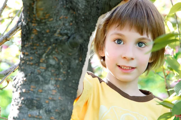 Fröhlicher kleiner Junge hat Spaß auf Ast sitzend — Stockfoto