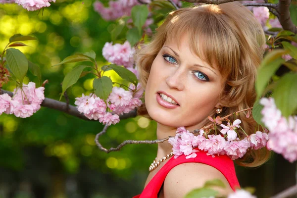 Güzel genç kadının Blooming Japon kiraz ağacının yanında — Stok fotoğraf