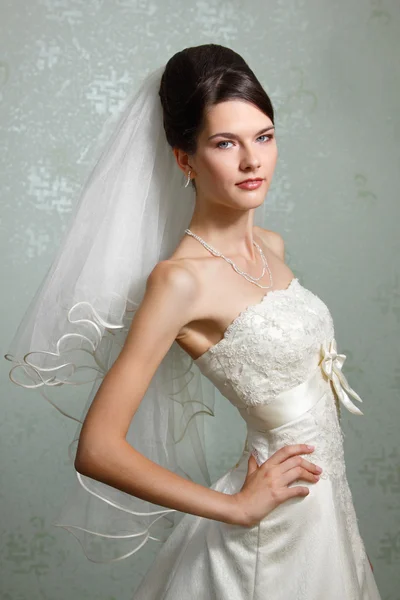 Beautiful bride in dress and veil — Stock Photo, Image