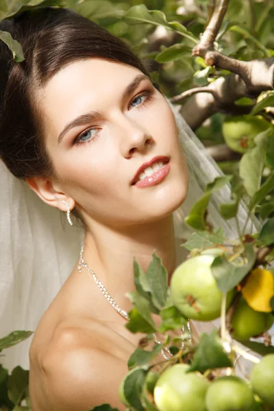 Vackra brud med äpplen — Stockfoto