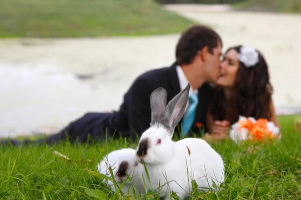 Bella giovane sposa bacio sposo — Foto Stock
