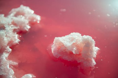 Tuz madenciliği. Tuzlu pembe göl ve tuz kristalleri. Aşırı tuzlu pembe göl, İspanya 'nın Torrevieja kentindeki kristal tuzlu su yosunlarıyla renklendirilmiş.