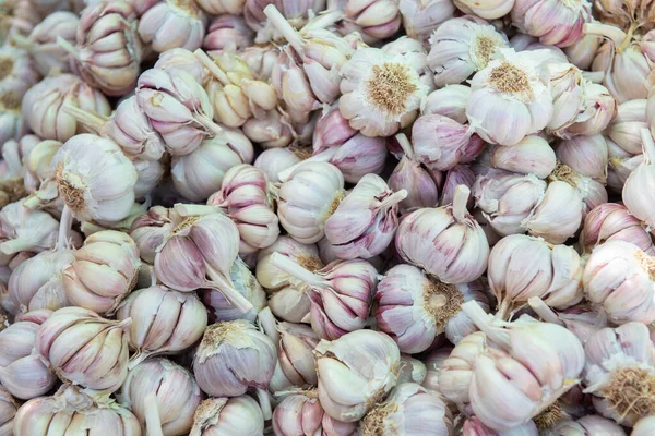 Soldaduras Ajo Mercado Aire Libre Granja Frutas Verduras Españolas Temporada — Foto de Stock