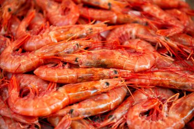 Sicilya 'da açık hava İtalyan pazarında büyük haşlanmış kırmızı karidesler satılıyor.