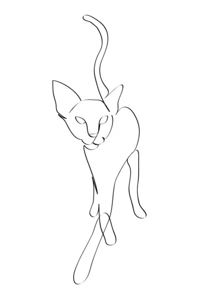 Kočka Malířský Styl Současné Ručně Kreslené Vektorové Ilustrace Kontinuální Linie — Stock fotografie