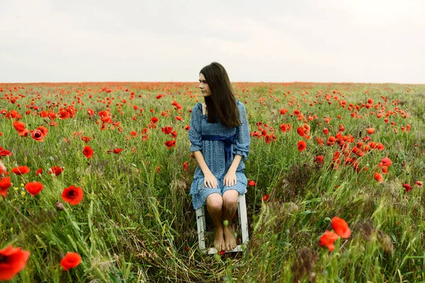 Portret Moda Femeie Tânără Frumoasă Care Stă Scaun Pajiște Mac — Fotografie, imagine de stoc