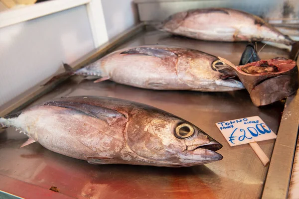 イタリアの魚市場で新鮮な魚が売られています マグロ — ストック写真