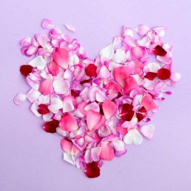 Kalp açık mor arka planda gül yapraklarından yapılmıştır. Mevsimlik çiçekler doğal aşk duvar kağıtları