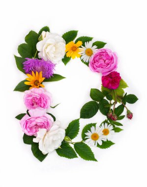 D harfi, konsept alfabe tasarımı. Çiçekli yaz yazı tipi. Mevsimlik dekoratif farklı renkte çiçek ve çimenlerin güzel şekilleri. Doğal yaz baskısı