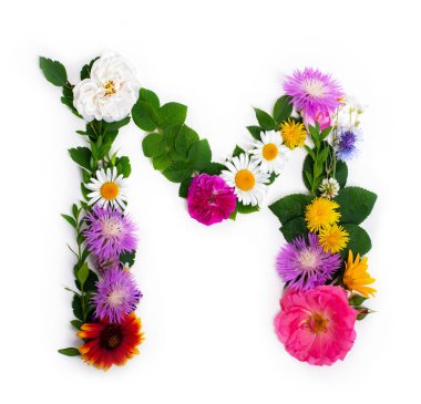 M harfi, konsept alfabe tasarımı. Çiçekli yaz yazı tipi. Mevsimlik dekoratif farklı renkte çiçek ve çimenlerin güzel şekilleri. Doğal yaz baskısı