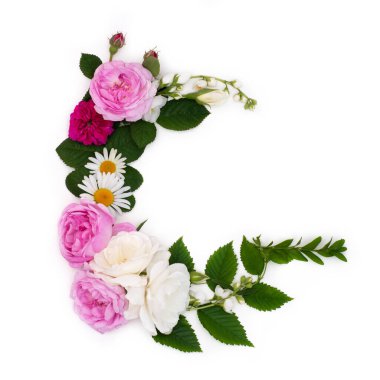 G harfi, konsept alfabe tasarımı. Çiçekli yaz yazı tipi. Mevsimlik dekoratif farklı renkte çiçek ve çimenlerin güzel şekilleri. Doğal yaz baskısı