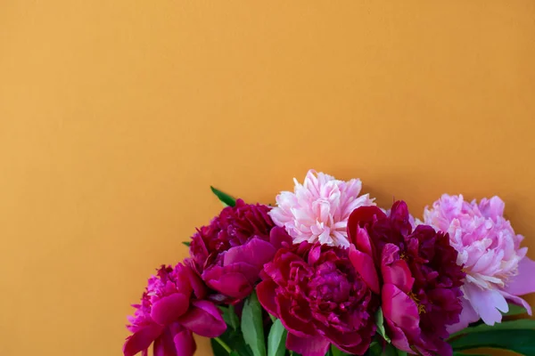 Peonías Sobre Fondo Naranja Con Espacio Copia Para Mensaje Tarjeta — Foto de Stock