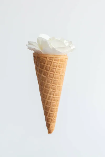 Ice Cream Waffle Cone Fresh White Rose Flower Isolated Diet — Stock Photo, Image